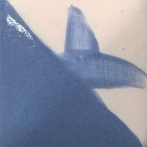 Blue By You Cafe Colour