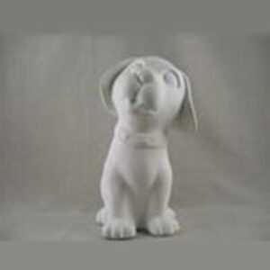 Happiest Dog on the Block