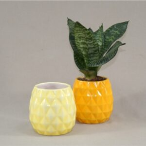 Pineapple Planter