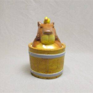 Bathing Capybara box