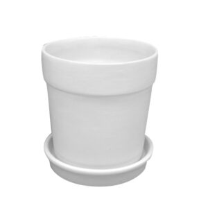 Small Flower Pot With Tray