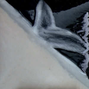 Snow White - Cafe Colour Low Fire