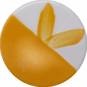 Citrus Zest - Cafe Colour High Fire