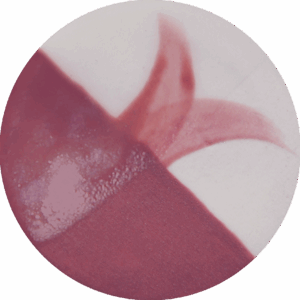 Tickled Pink - Cafe Colour High Fire