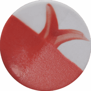 Hey Coral - Cafe Colour High Fire