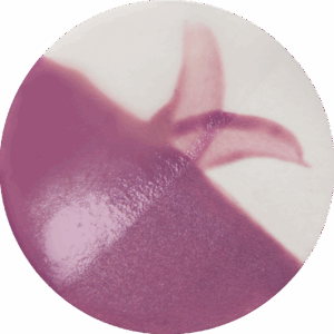 Elinor Lilac - Cafe Colour High Fire