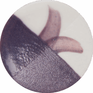 Purr Pull - Cafe Colour High Fire