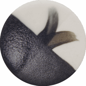 Hi Ho - Cafe Colour High Fire