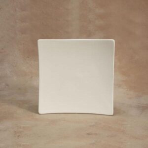 Swoop Sushi Dinner Plate