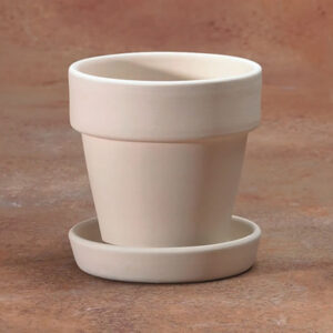 Small Flower Pot With Saucer