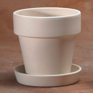 Medium Flower Pot With Saucer