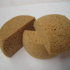 Hydra Sponge - Half Moon