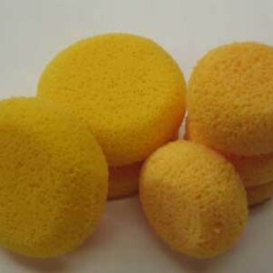 Hydra Sponge - Small 6 Pack